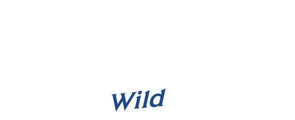 はるやまの褒められスーツ Wild