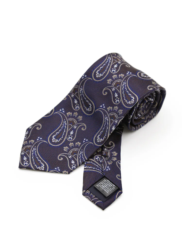 【シルク100%】ネクタイレギュラーペイズリーリッケンバッカー